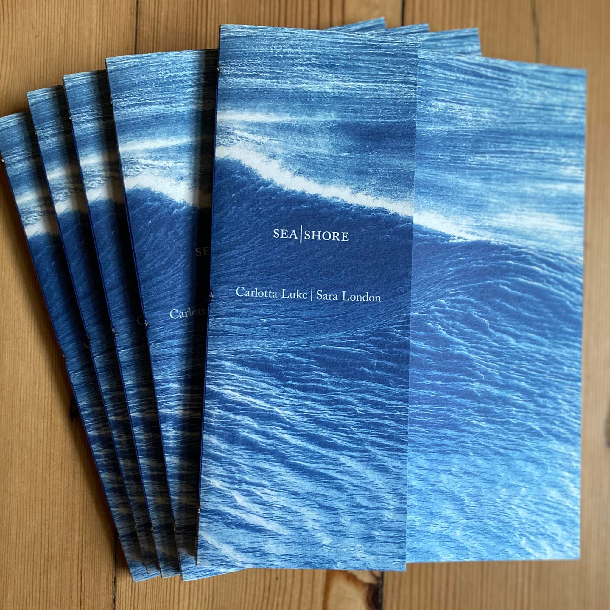 SEA|SHORE book cover